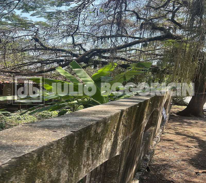 WhatsApp Image 2025-10-23 at 1 - 2