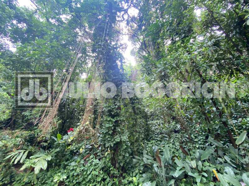 WhatsApp Image 2026-01-24 at 2 - 29