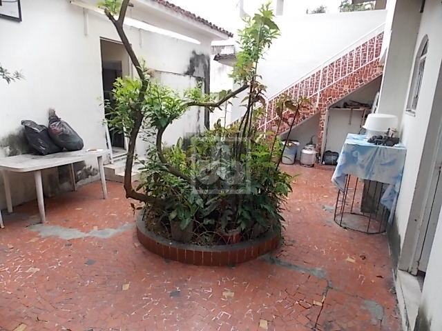 FOTO_19 - 1