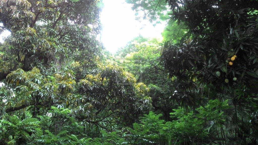FOTO_18 - 18