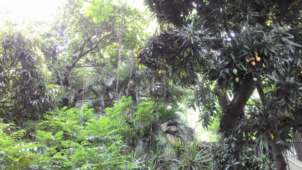 FOTO_19 - 19