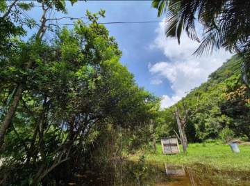 1771948973824_1. - 1