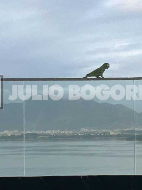 PHOTO-2026-03-11-15-43-35[3] - 14