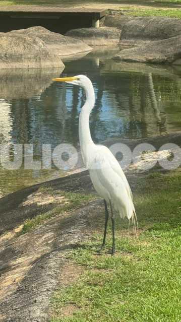 AP 495K VILA DO PAN 12. - 14