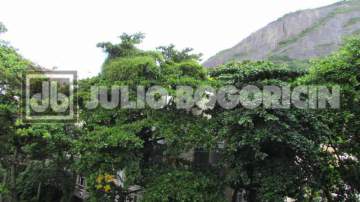 Imperdível - Copacabana - Bairro Peixoto - Apartamento frente, claro e ventilado - Living - 2 Quartos - Dep. Completas - 81m² no IPTU, visivelmente maior - Seu Pet é bem-vindo! - JBC200007