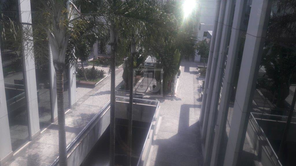 FOTO_8 - 8
