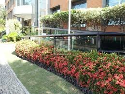 FOTO_8 - 10