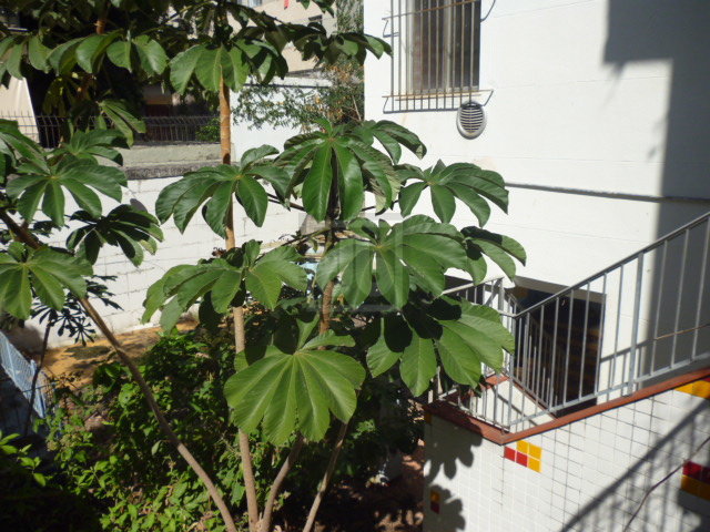 FOTO_10 - 10