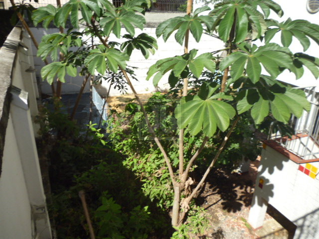 FOTO_11 - 11