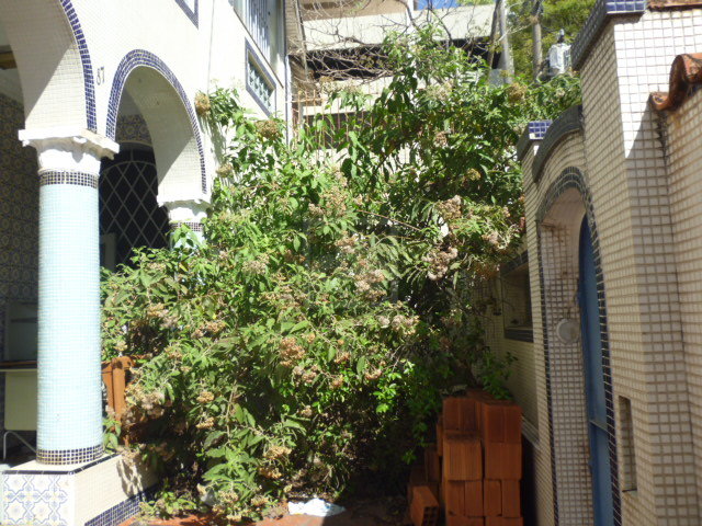 FOTO_8 - 8