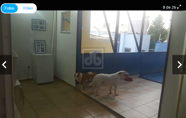 FOTO_10 - 21
