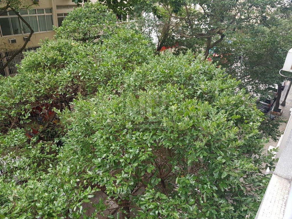 FOTO_3 - 3