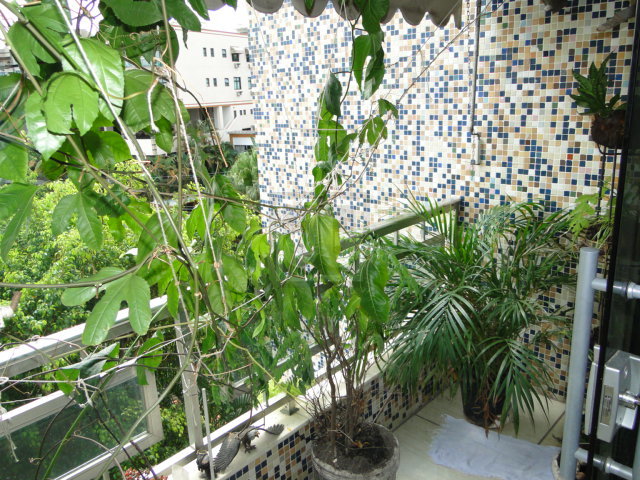 FOTO_3 - 2