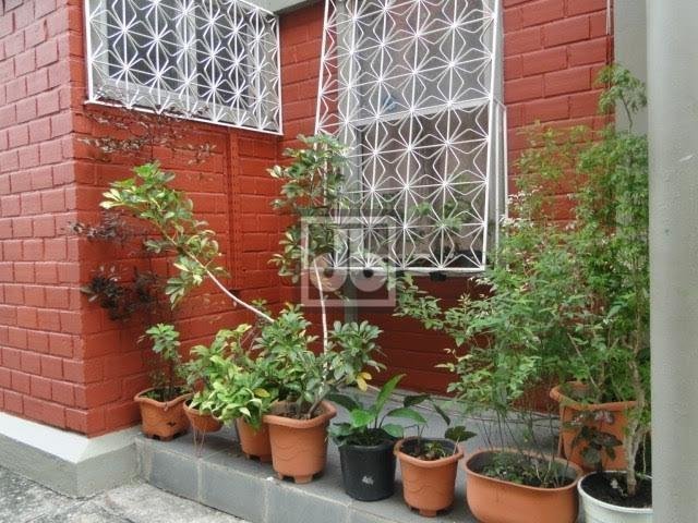 FOTO_19 - 19