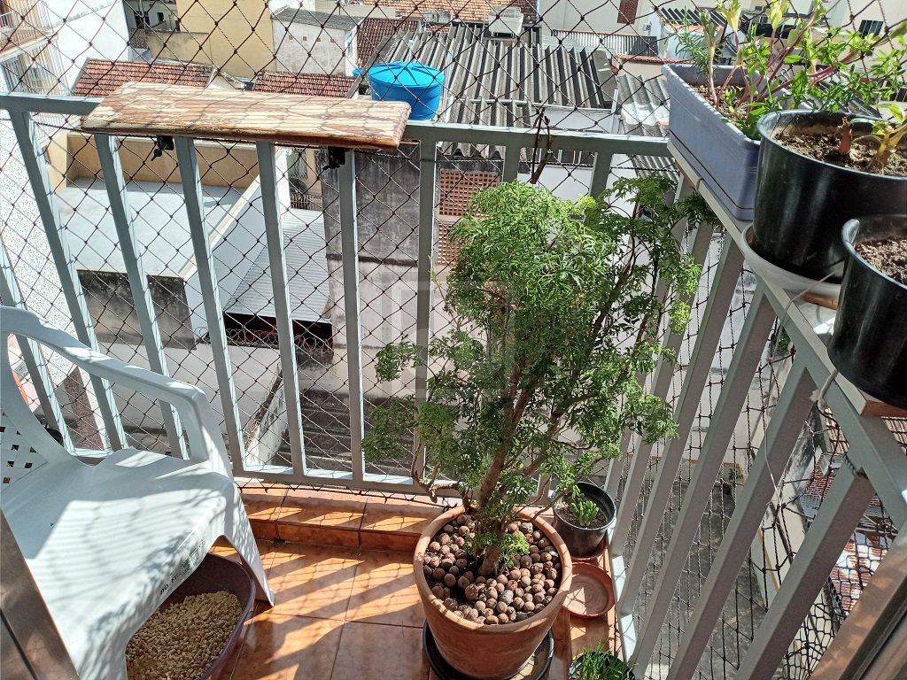 FOTO_4 - 2