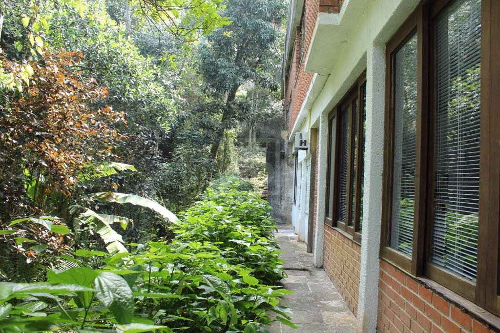 FOTO_10 - 10