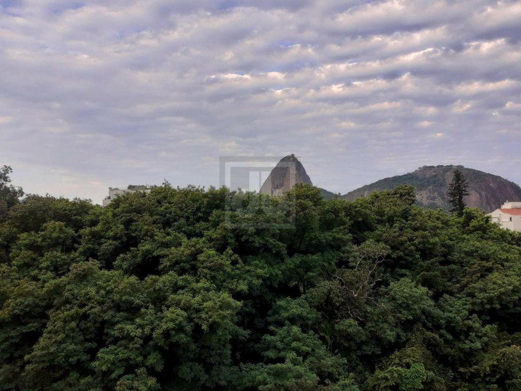 FOTO_8 - 8