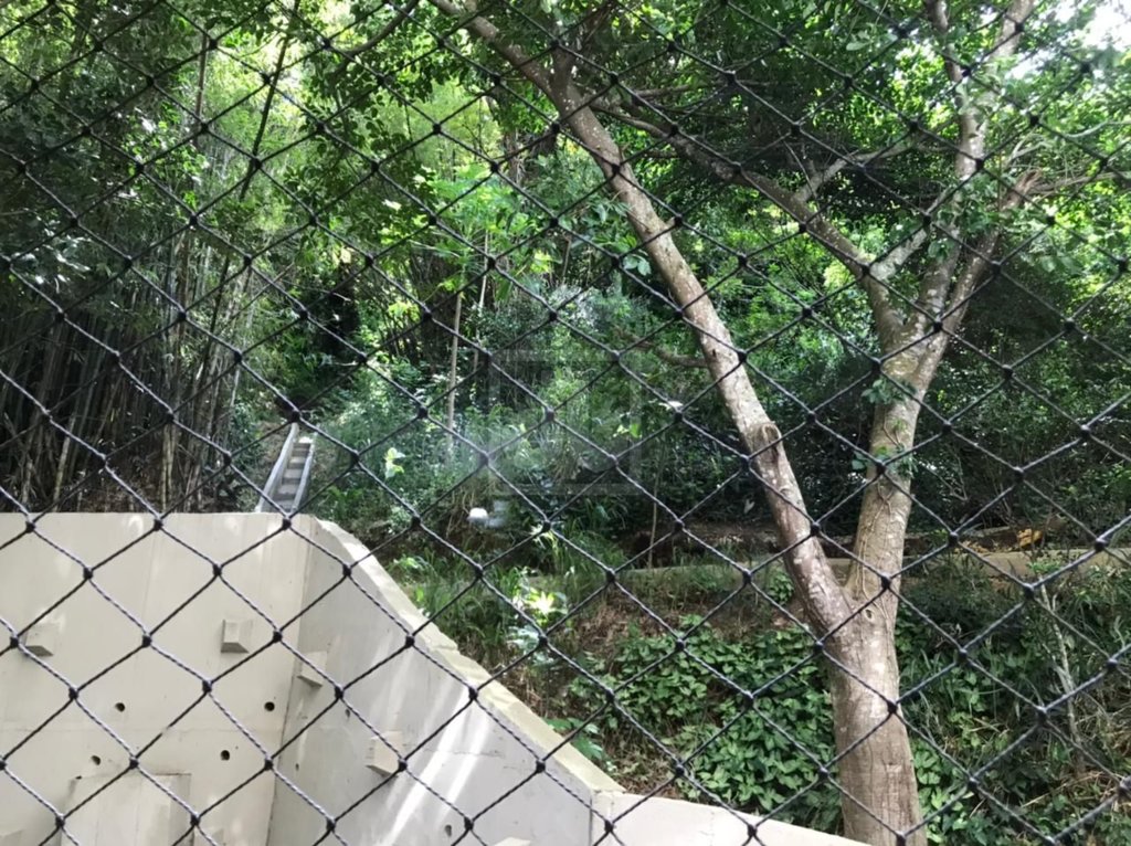 FOTO_5 - 5