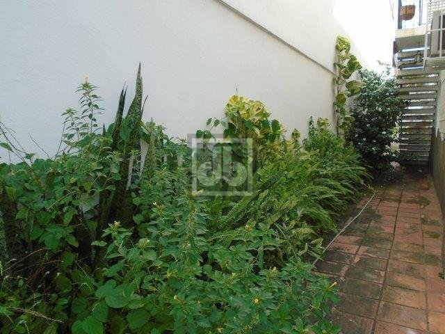 FOTO_19 - 19