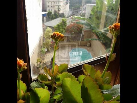 FOTO_3 - 3