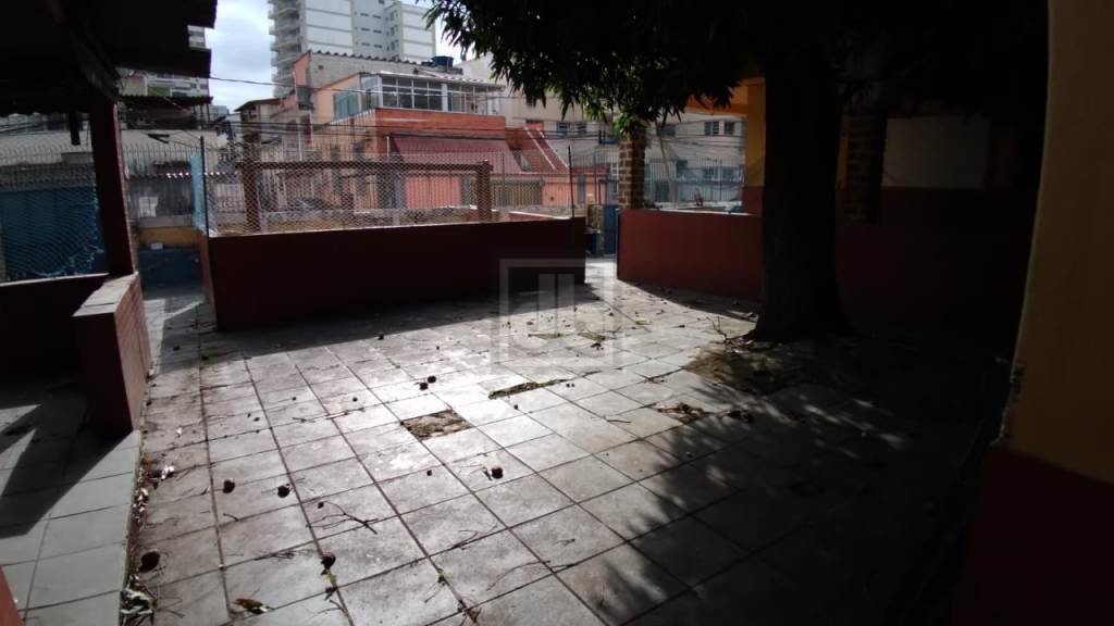 FOTO_16 - 16