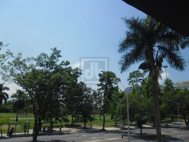 FOTO_19 - 19