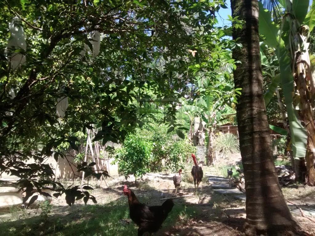 FOTO_3 - 3