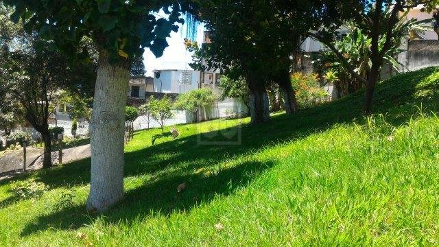 FOTO_7 - 7