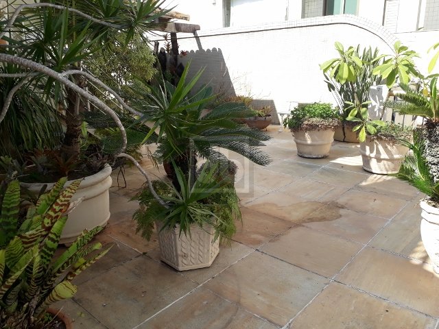 FOTO_5 - 6