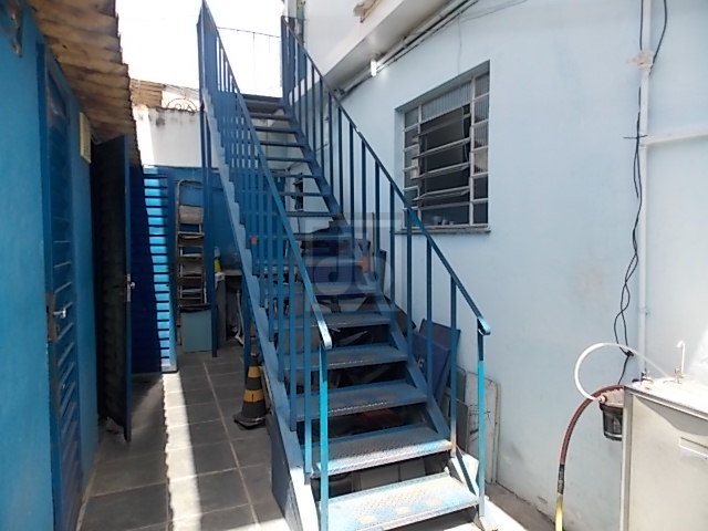 FOTO_14 - 14