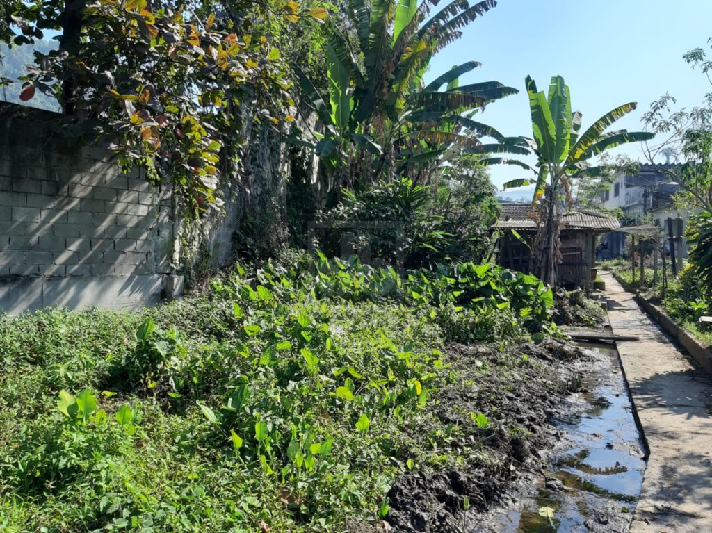 FOTO_12 - 12