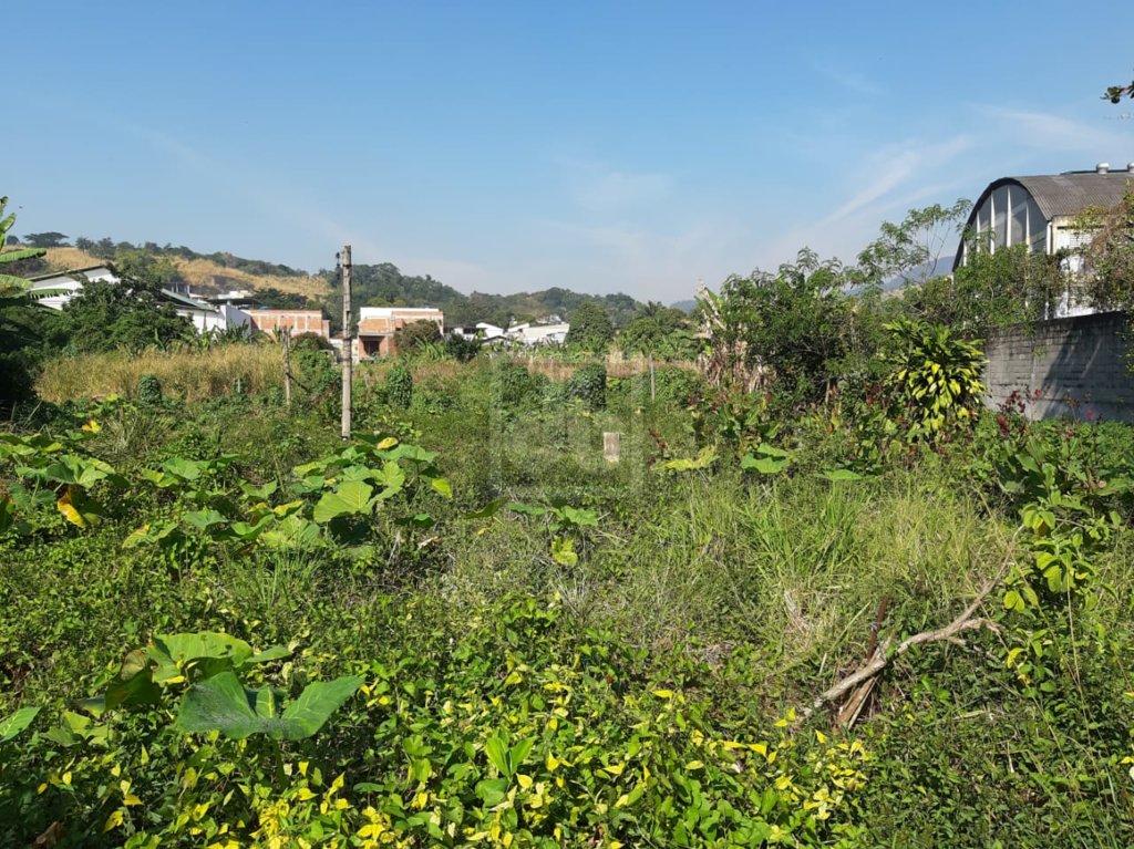 FOTO_5 - 5