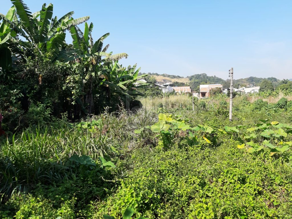 FOTO_8 - 8