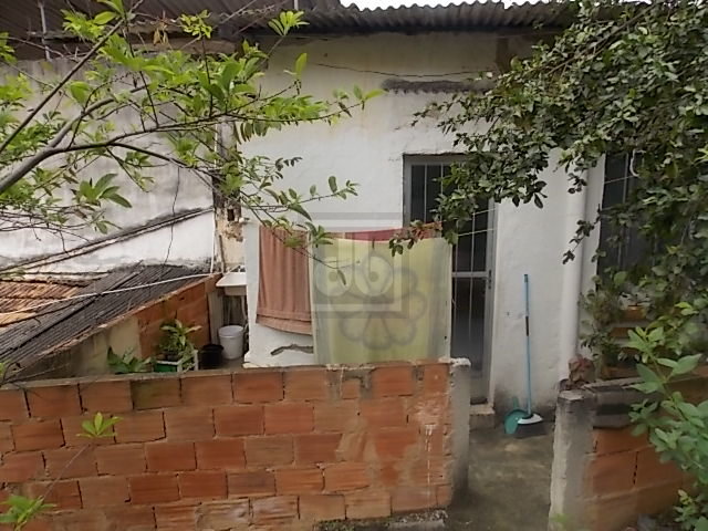 FOTO_10 - 10