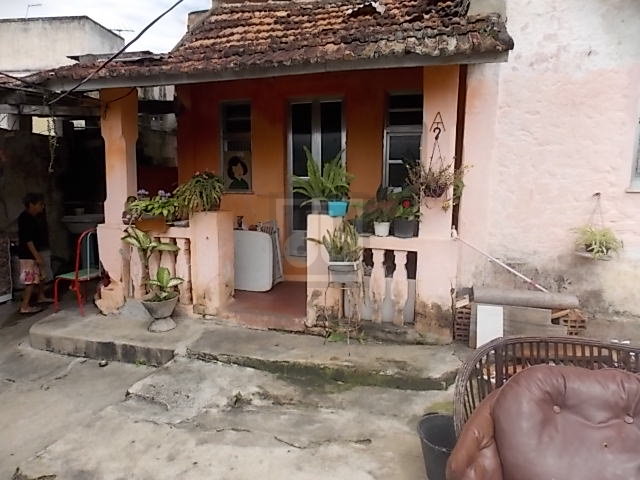 FOTO_12 - 12
