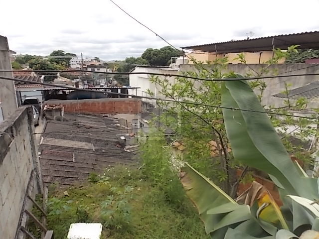 FOTO_6 - 6