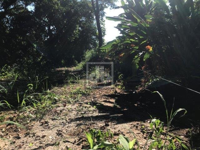 FOTO_1 - 1
