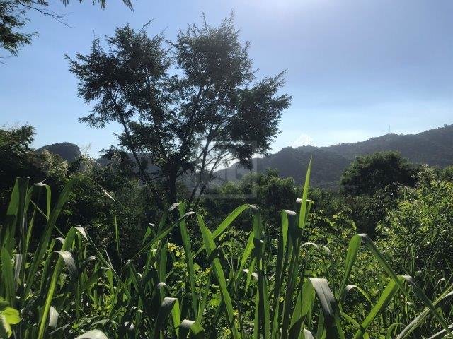 FOTO_11 - 11