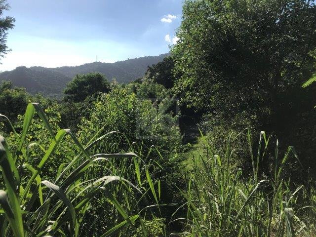 FOTO_14 - 14