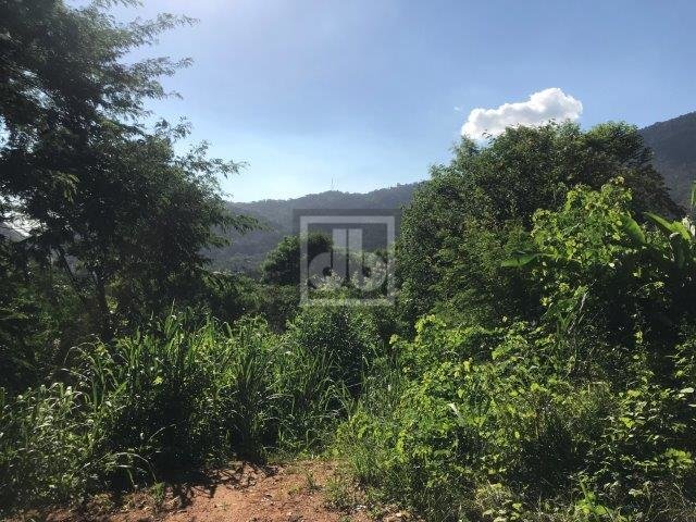 FOTO_2 - 2