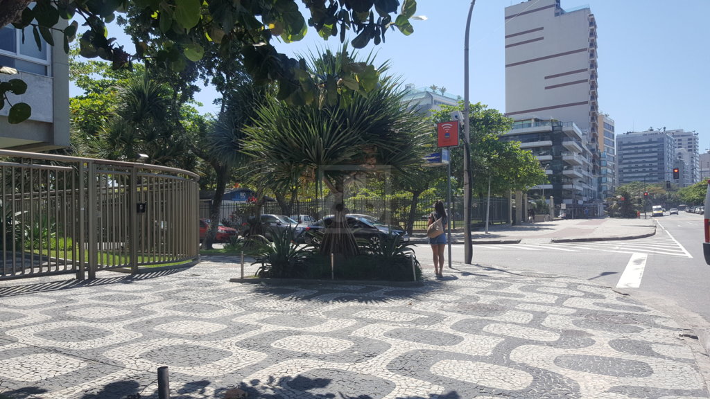 FOTO_12 - 13