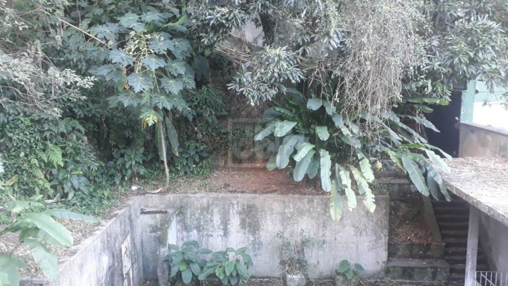 FOTO_13 - 13
