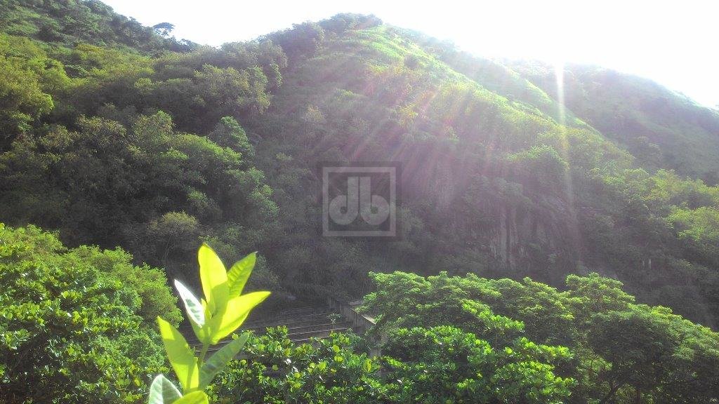 FOTO_18 - 18