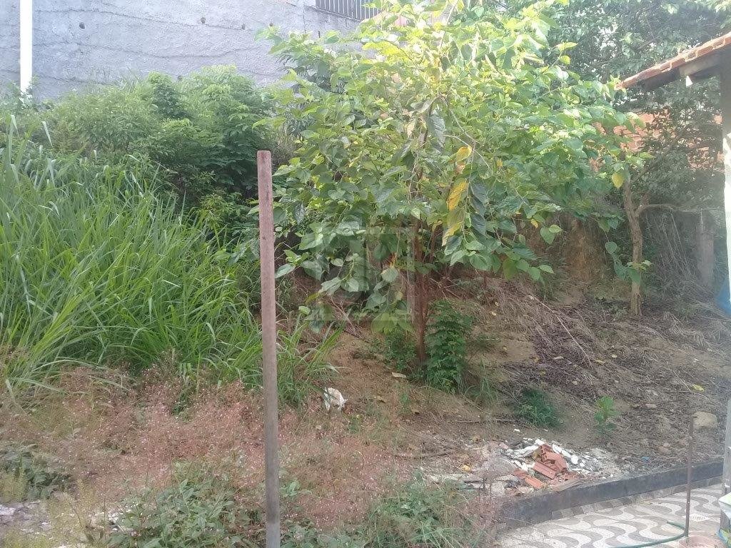 FOTO_19 - 19