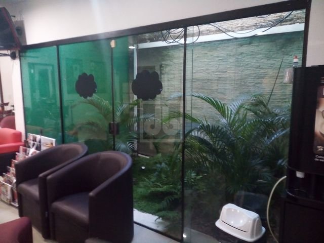 FOTO_11 - 11