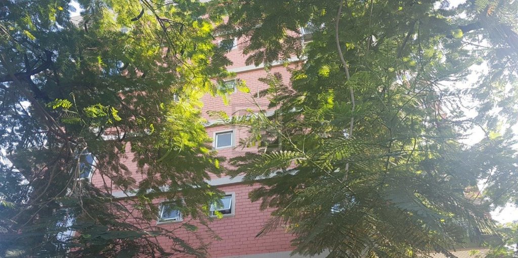 FOTO_1 - 1