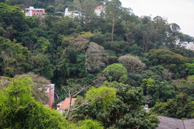FOTO_12 - 12