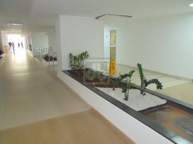 FOTO_15 - 15