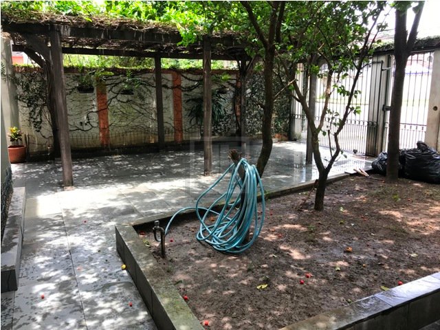FOTO_19 - 19