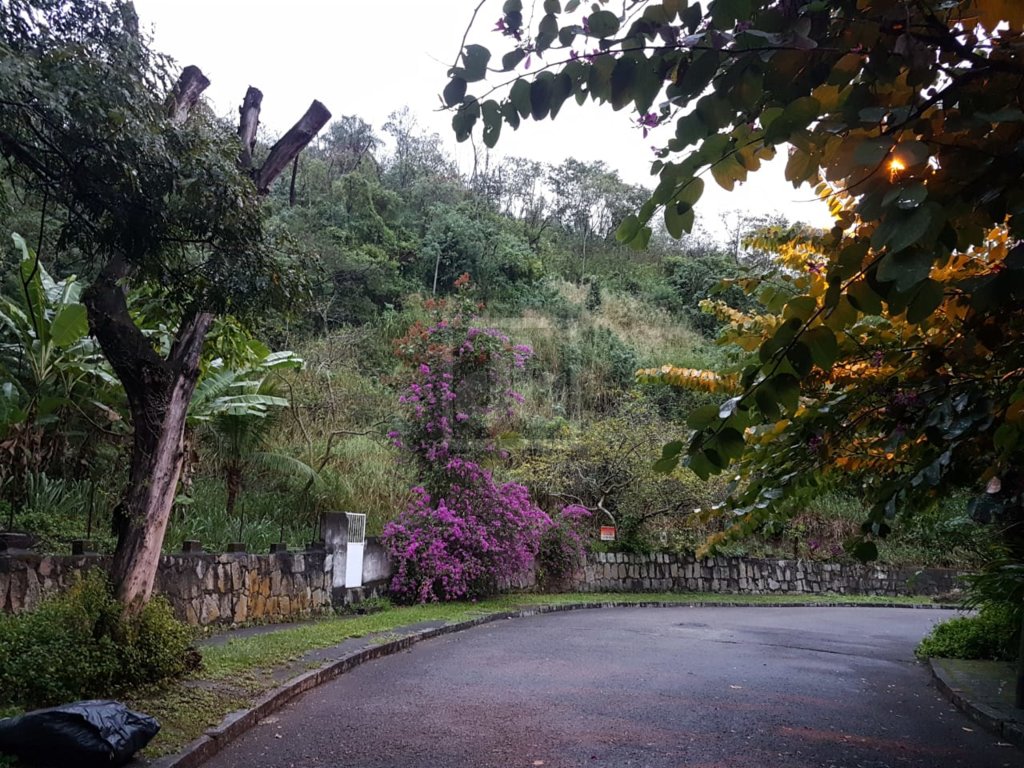 FOTO_1 - 1